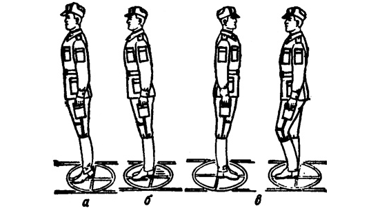 Команда кругом в движении. Изучение строевой стойки по элементам. Строевой устав строевая стойка. Элементы строя: Строй? Строевая стойка: Вольно. Строевая стойка и повороты на месте.