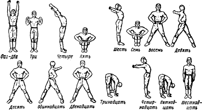 Упражнение 1. Комплекс вольных упражнений № 1 - Планконспект